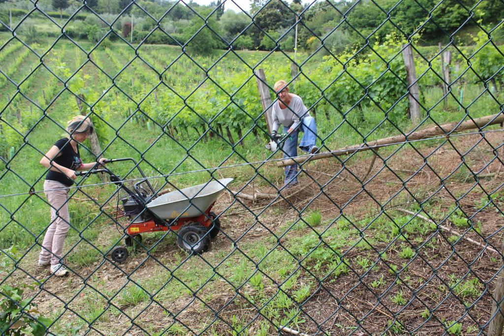 Azienda Agraria La Casella Montalcino Kültér fotó