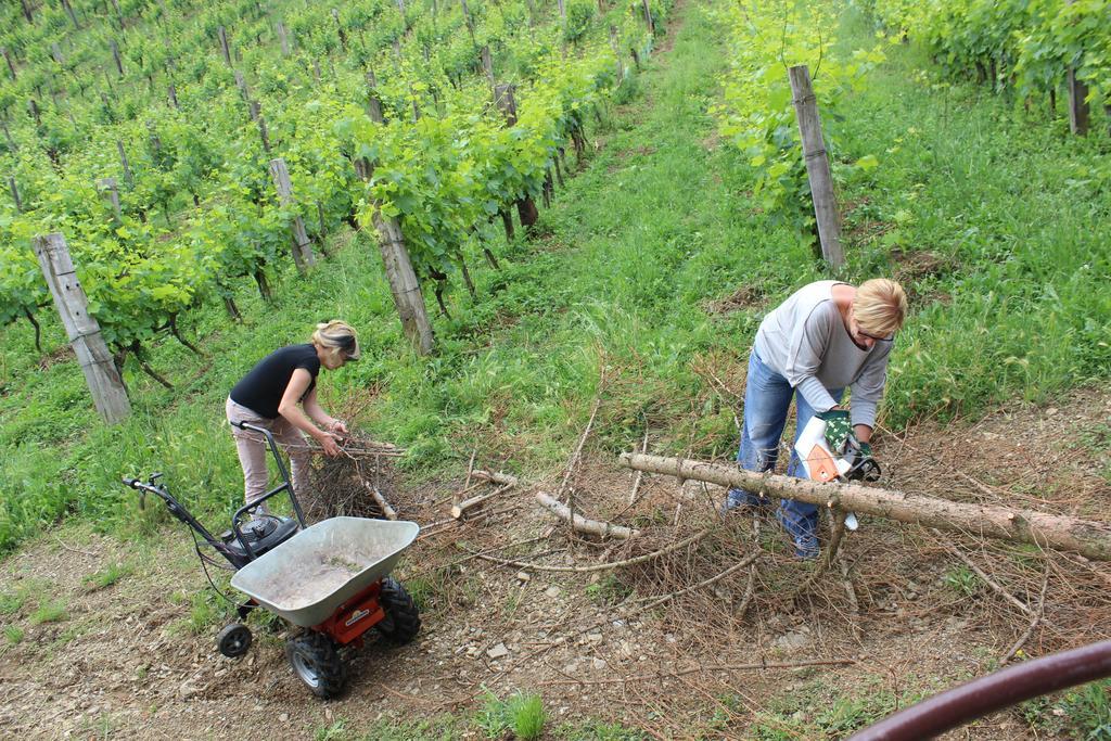 Azienda Agraria La Casella Montalcino Kültér fotó
