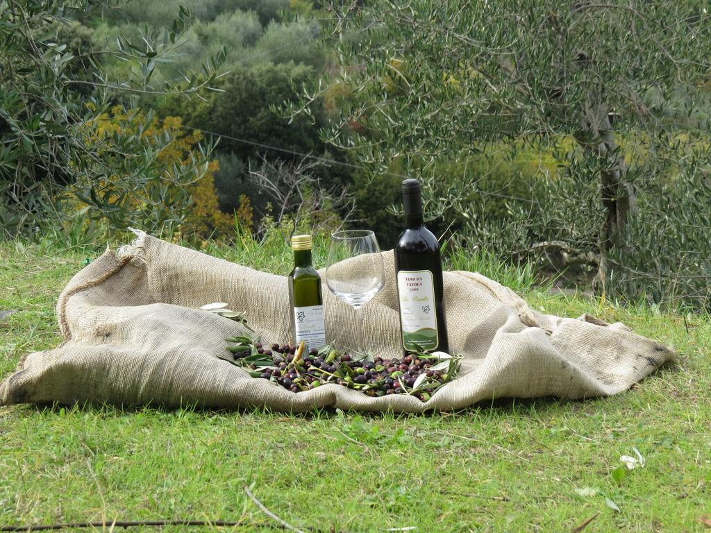 Azienda Agraria La Casella Montalcino Kültér fotó